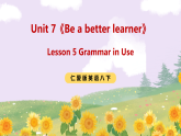 Unit 7《Be a better learner》Lesson 5 Grammar in Use 课件 仁爱版英语八下