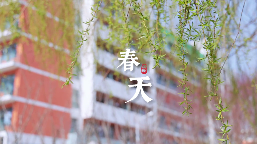 17989055第4页