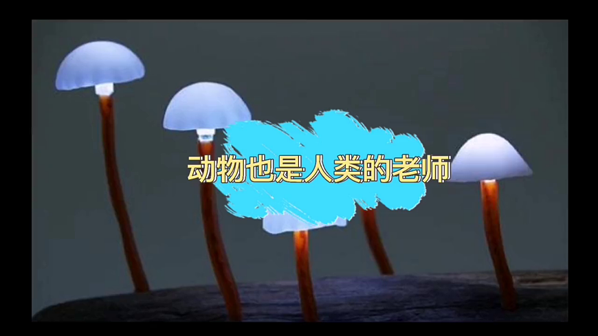 17989056第4页