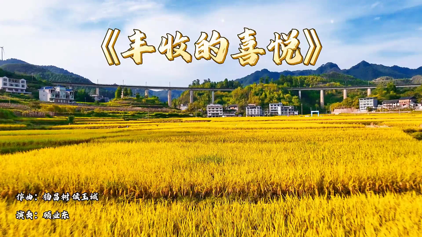 17989061第5页