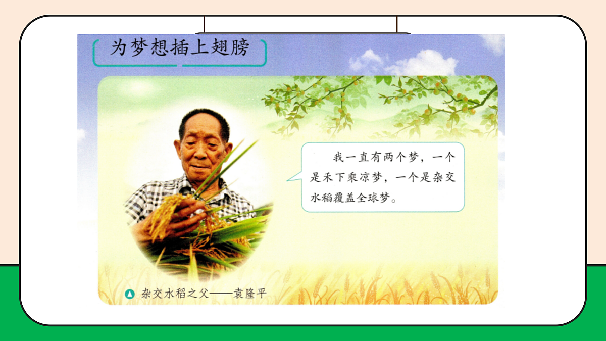 17989072第8页