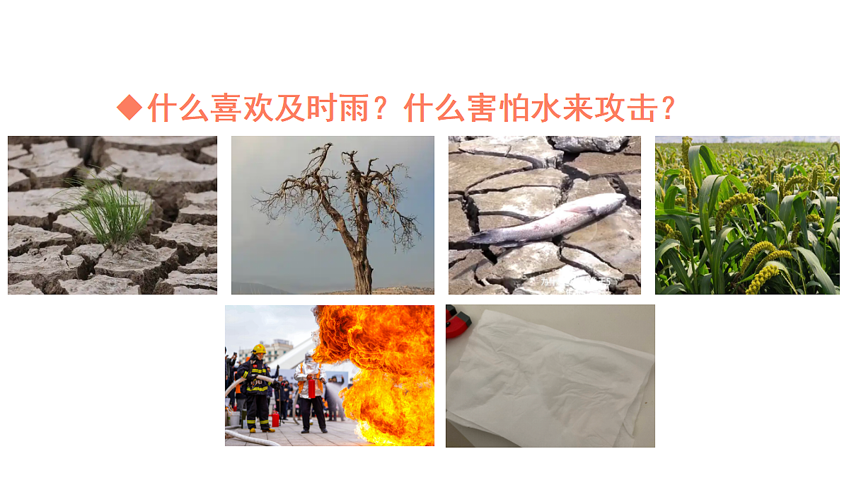 17989150第8页