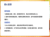 【冀人版】一下科学 1.2 认识动物（课件+教案表格式+分层作业含答案）
