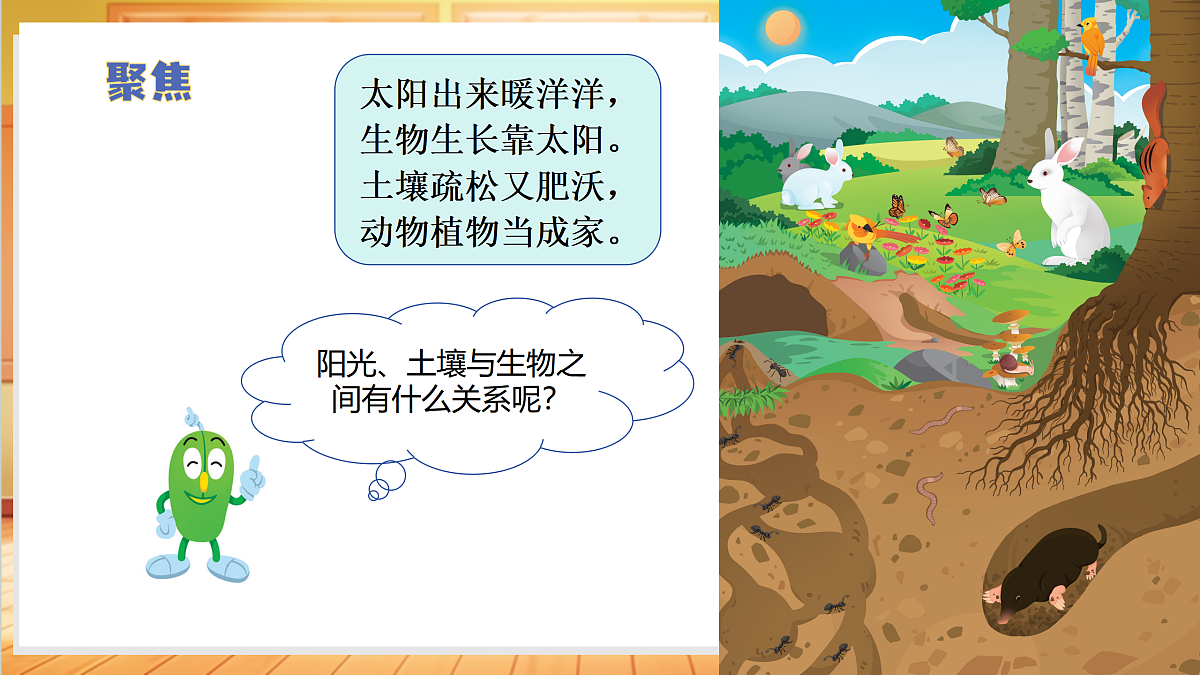 2.7 动植物的家（教学课件）科学冀人版一年级下册（新教材）第6页