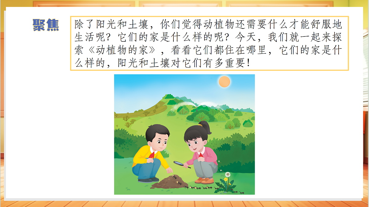 2.7 动植物的家（教学课件）科学冀人版一年级下册（新教材）第7页