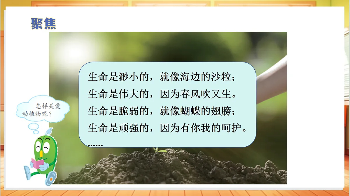 3.9 关爱行动（教学课件）科学冀人版一年级下册（新教材）第6页