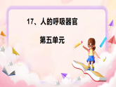 17人的呼吸器官 小学科学 苏教版（2024） 三年级下册 课件