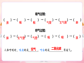 17人的呼吸器官 小学科学 苏教版（2024） 三年级下册 课件
