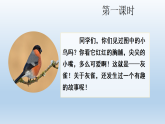 统编版（2024）三年级语文下册第六单元20 灰雀课件