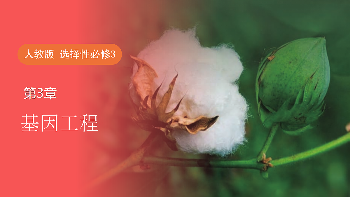 17989907第1页