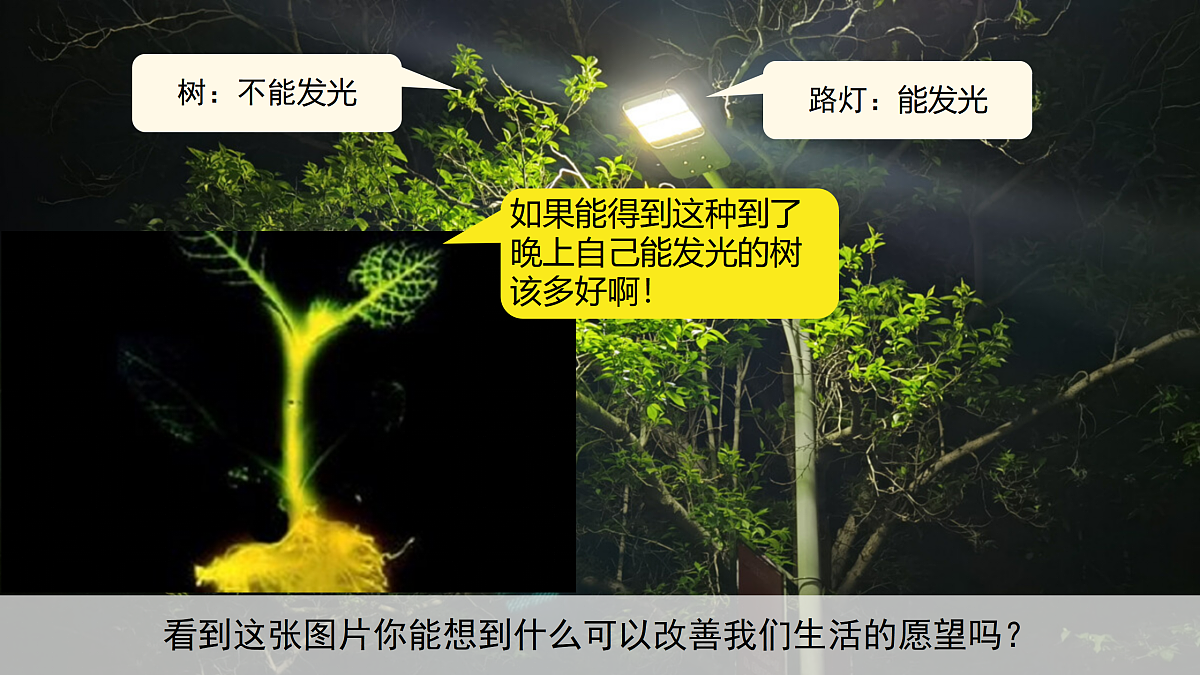 17989907第4页