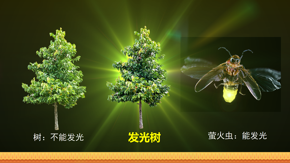 17989907第5页
