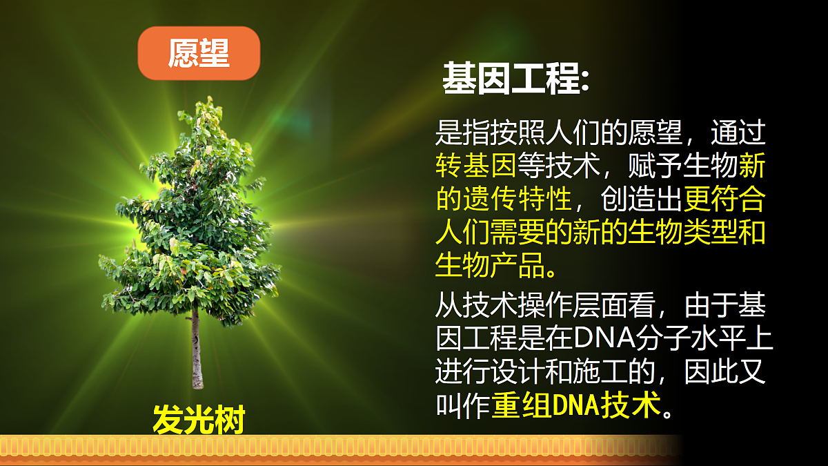 17989907第6页