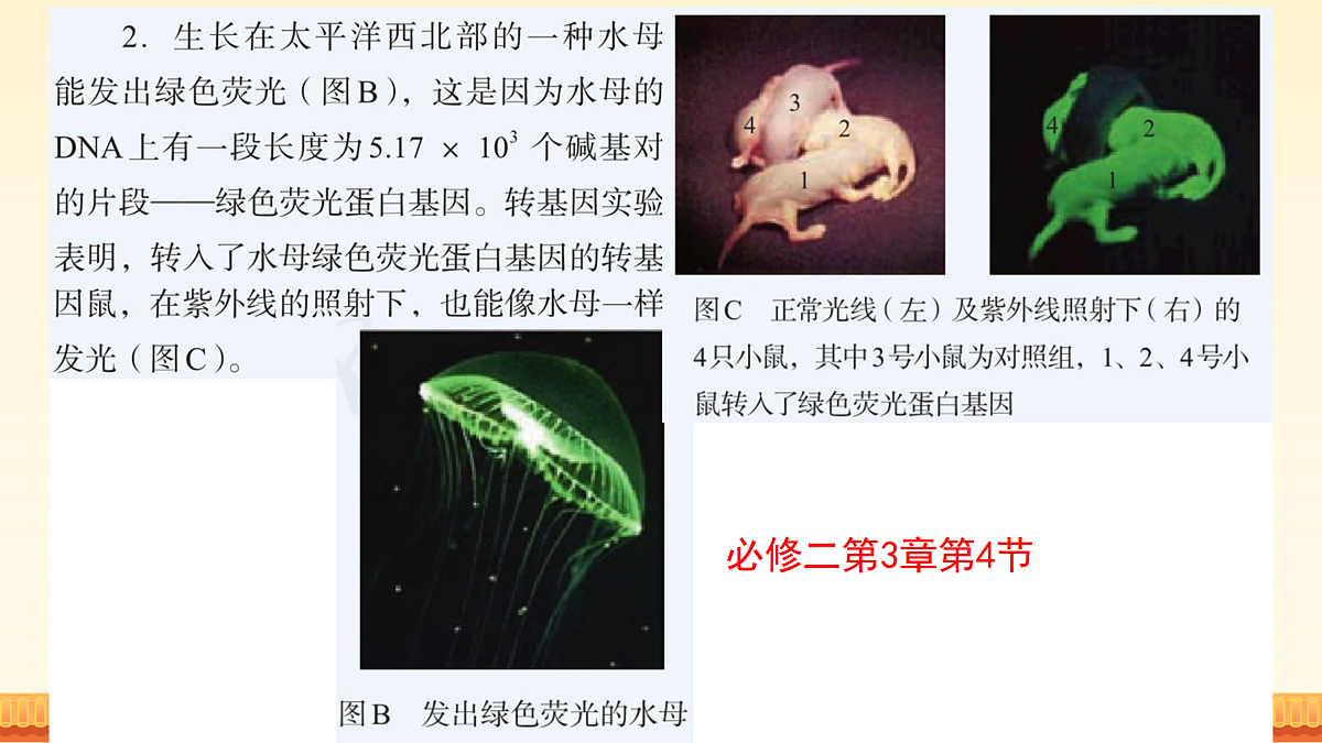 17989907第7页