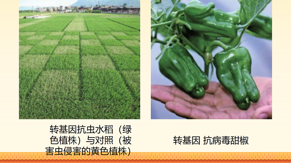 17989907第8页