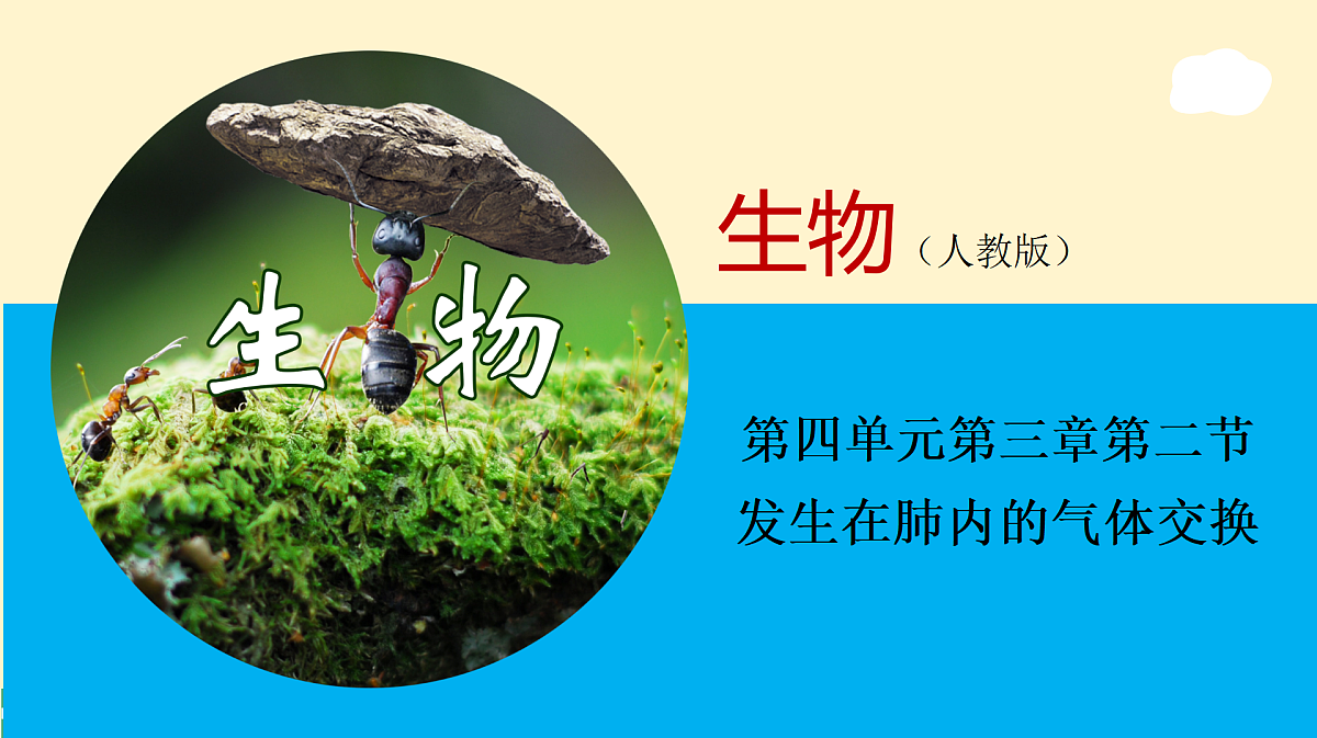 17989910第1页