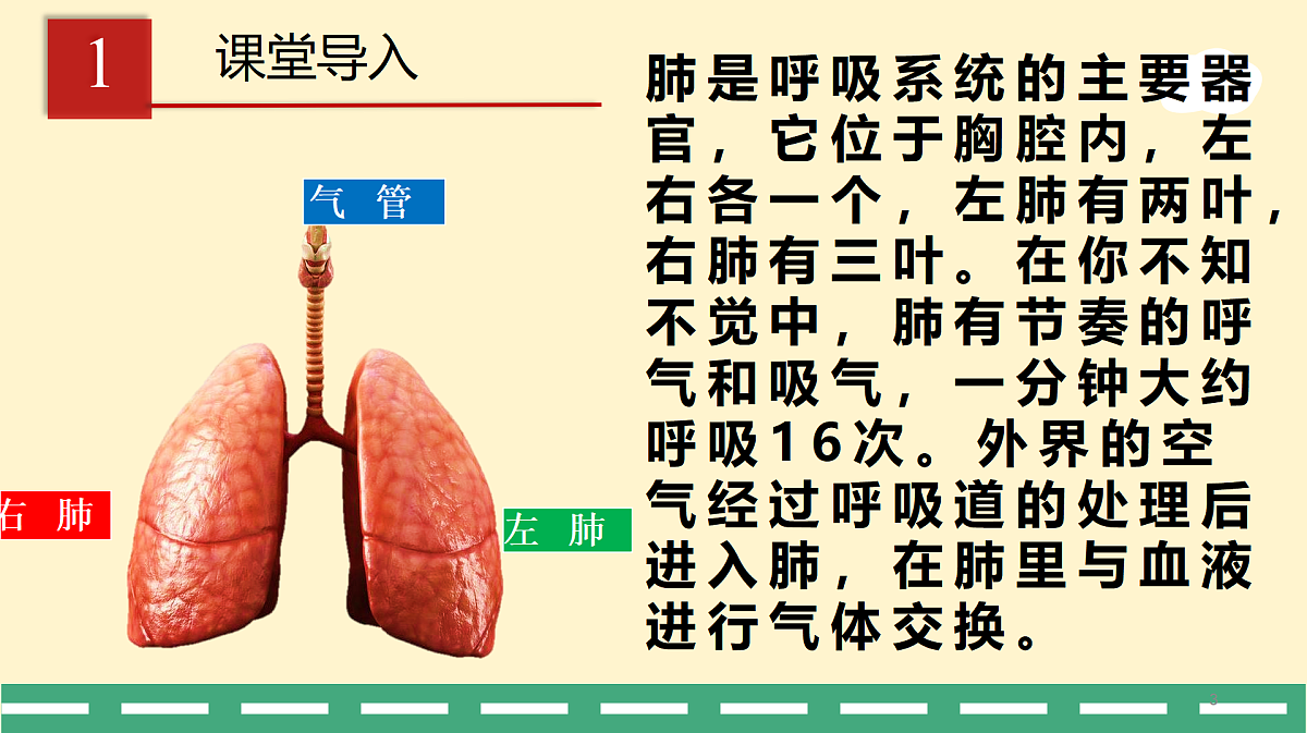 17989910第3页