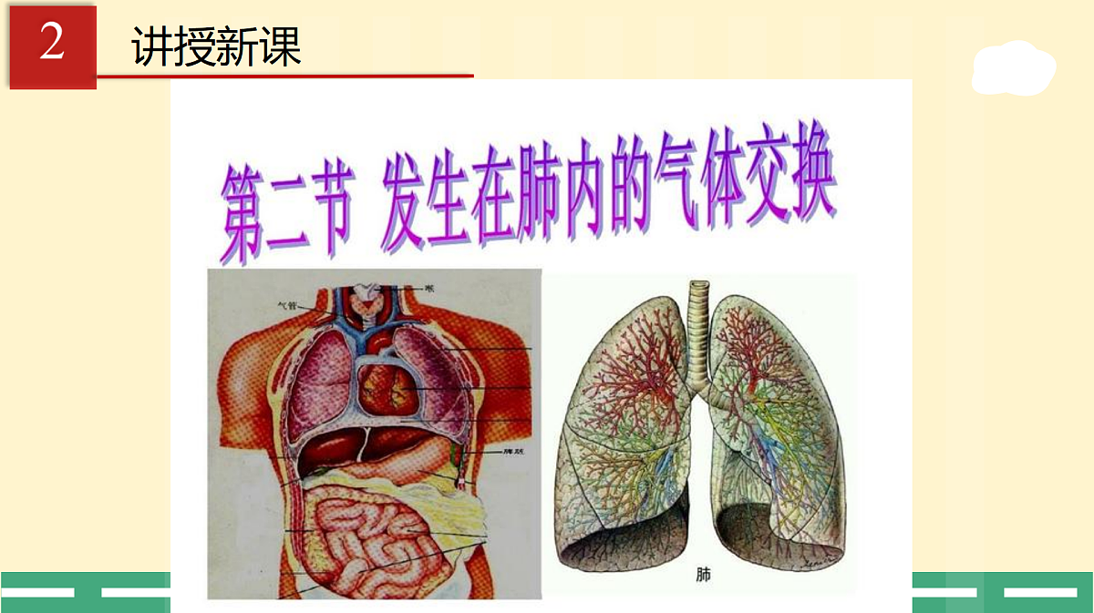 17989910第4页