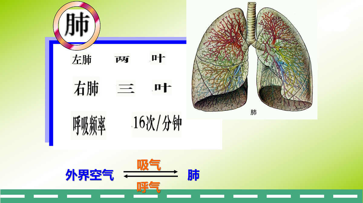 17989910第5页