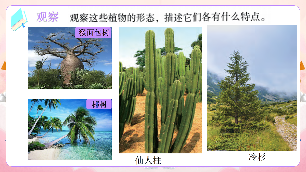 17989932第2页