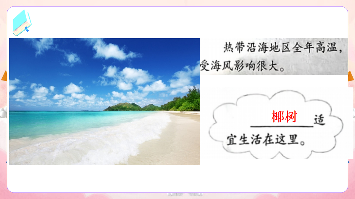 17989932第5页