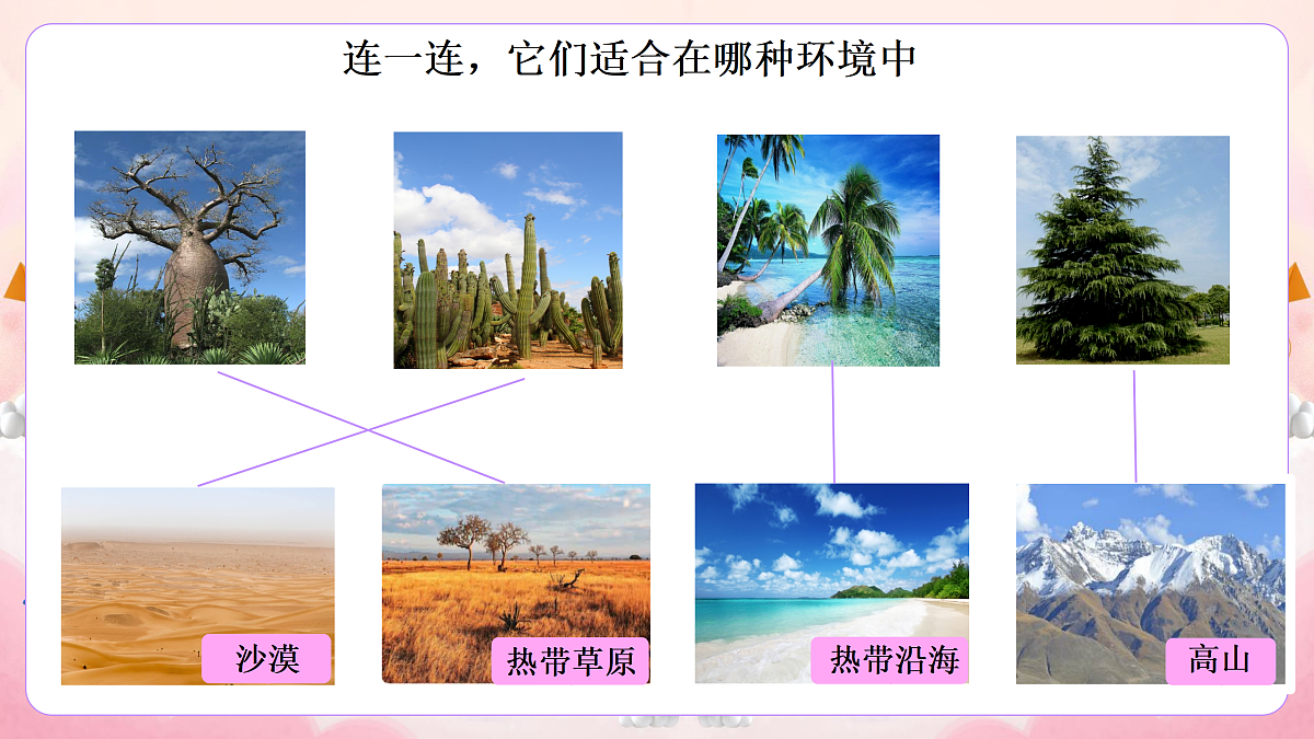 17989932第7页