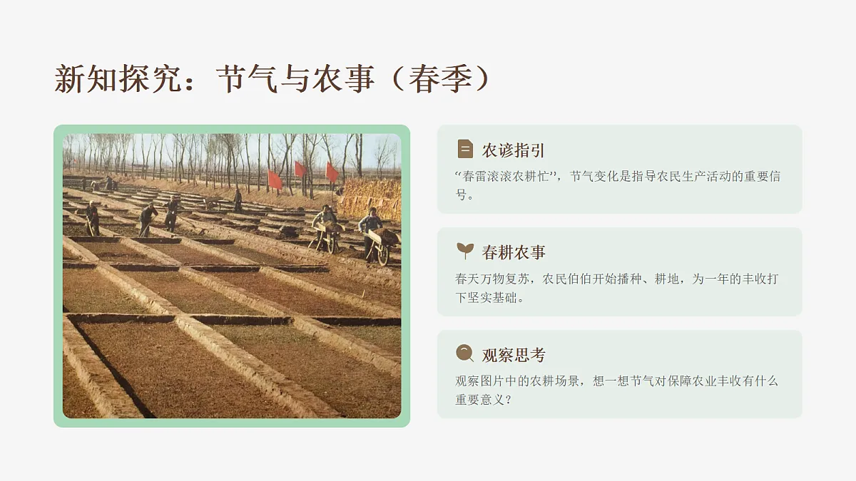天地有节趣 教学课件第7页