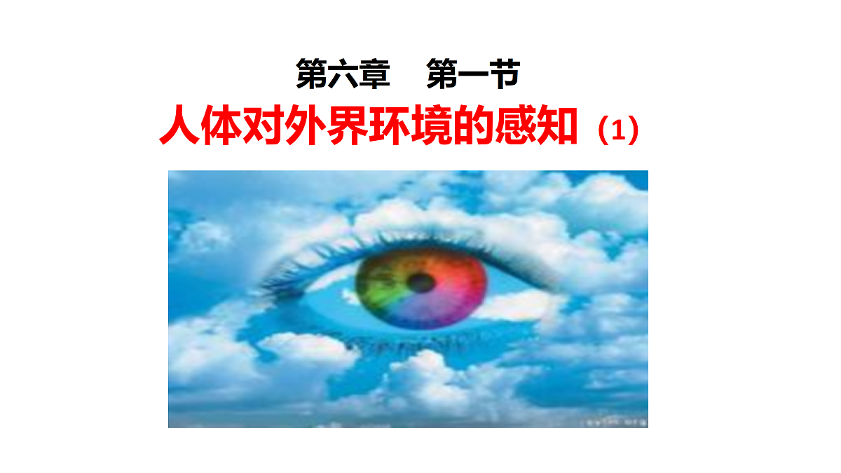 17991869第1页