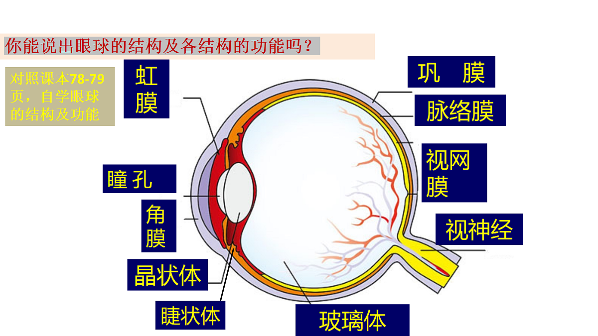 17991869第3页