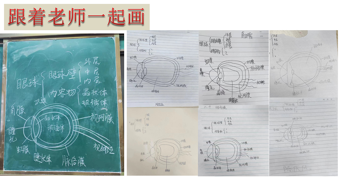 17991869第4页