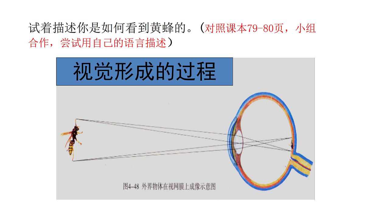 17991869第6页