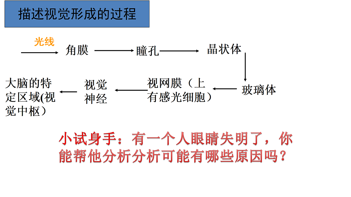 17991869第7页