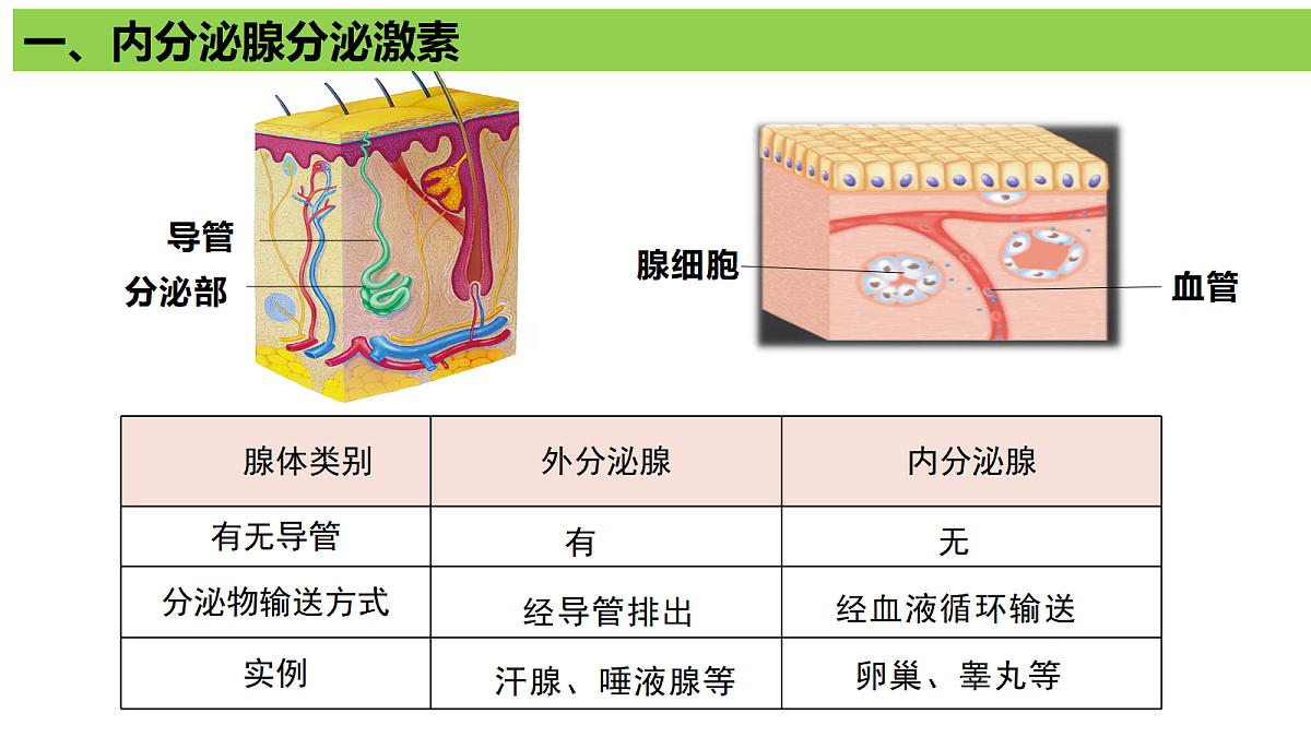 17991870第4页