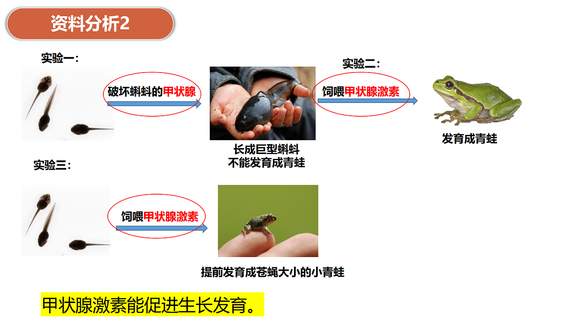 17991870第8页