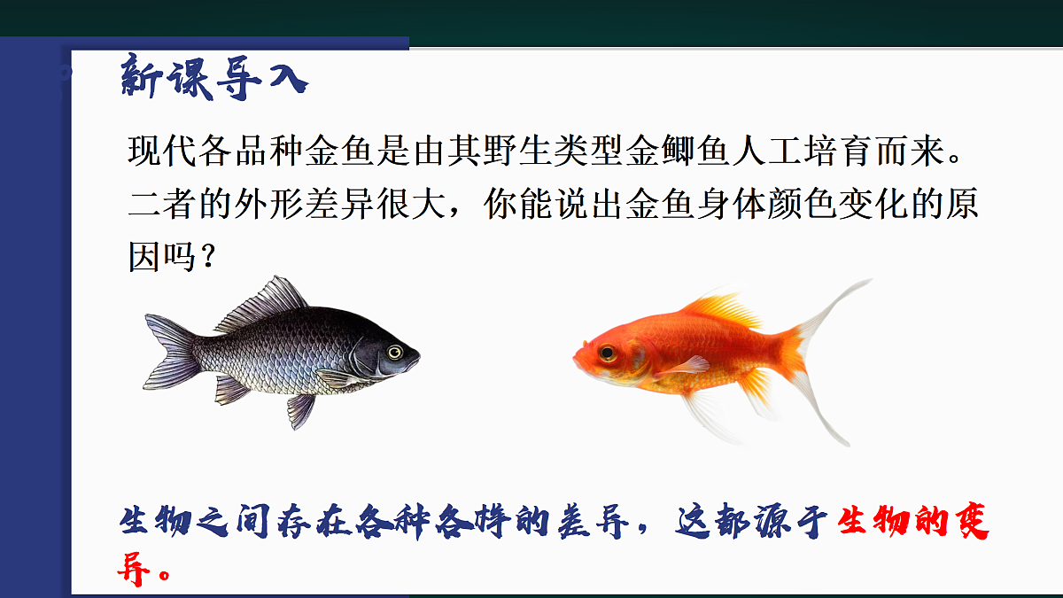 17991873第6页