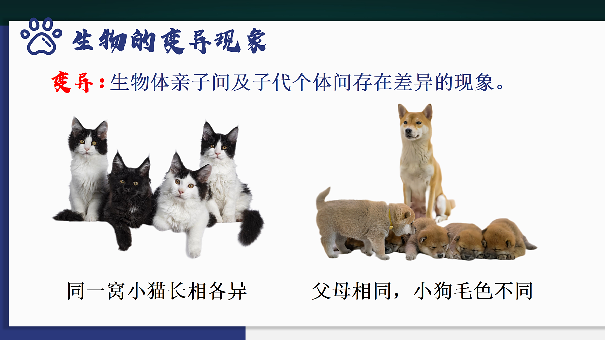 17991873第7页