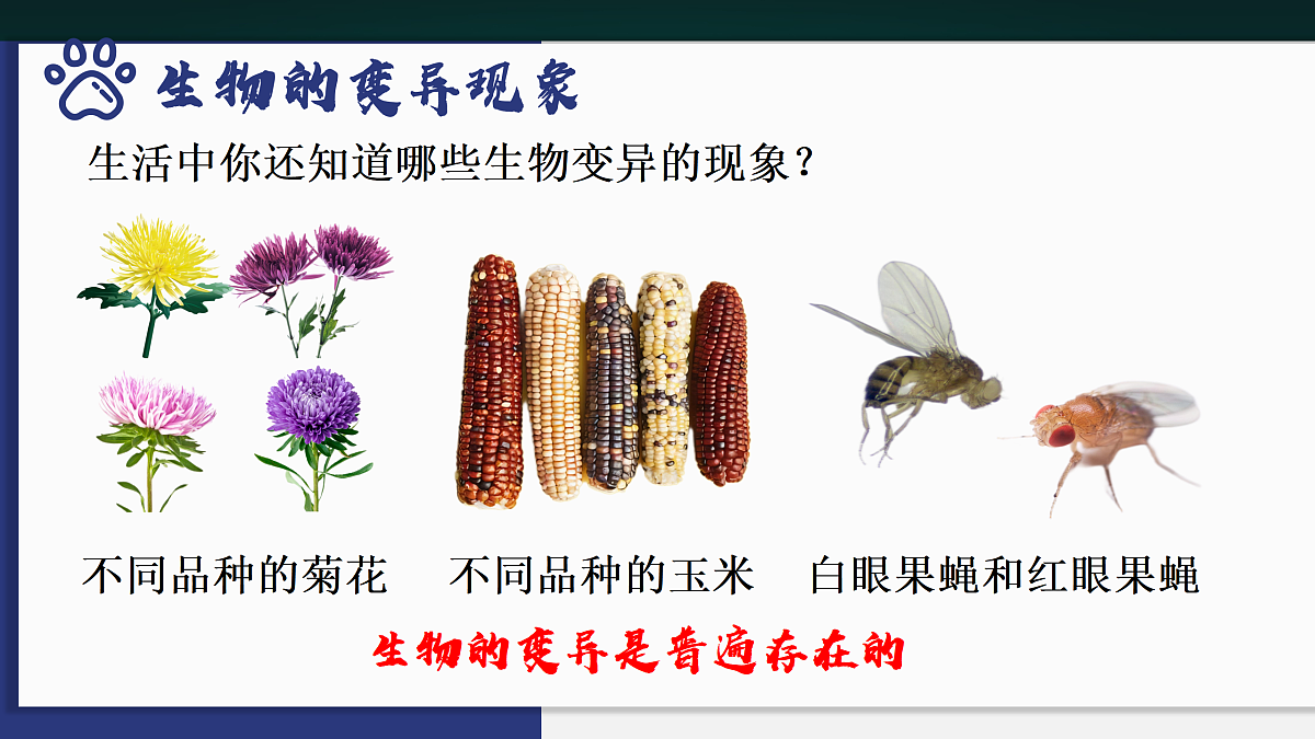 17991873第8页
