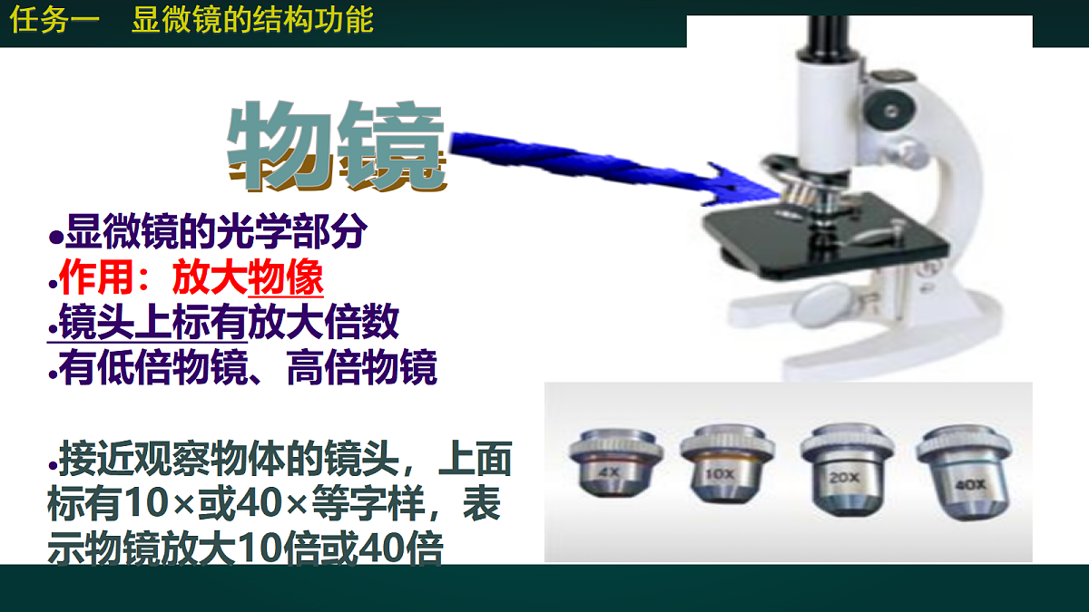 17991874第5页
