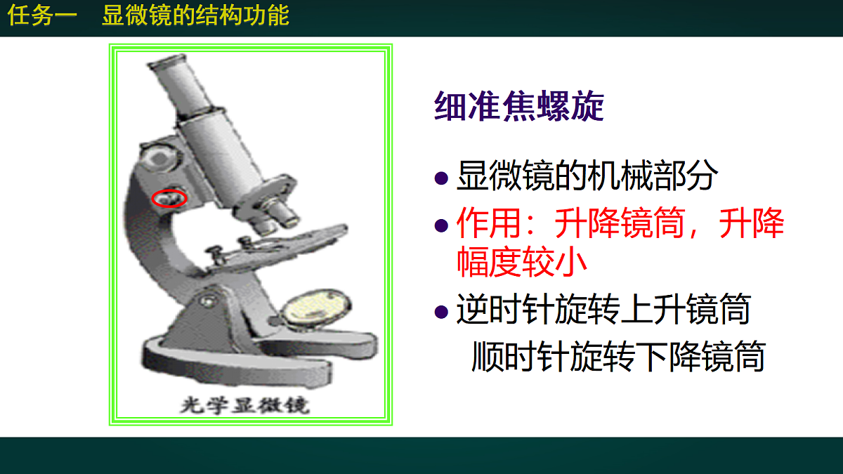 17991874第8页