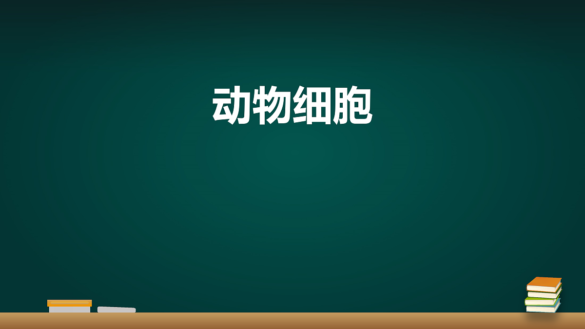 17991875第1页