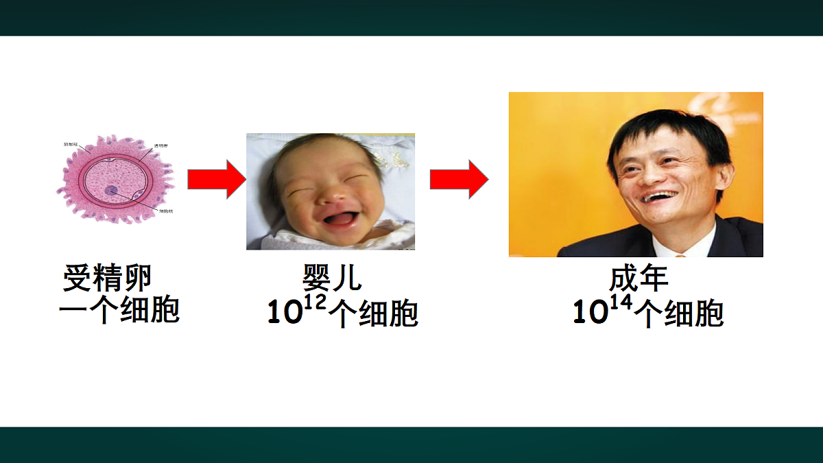 17991877第2页