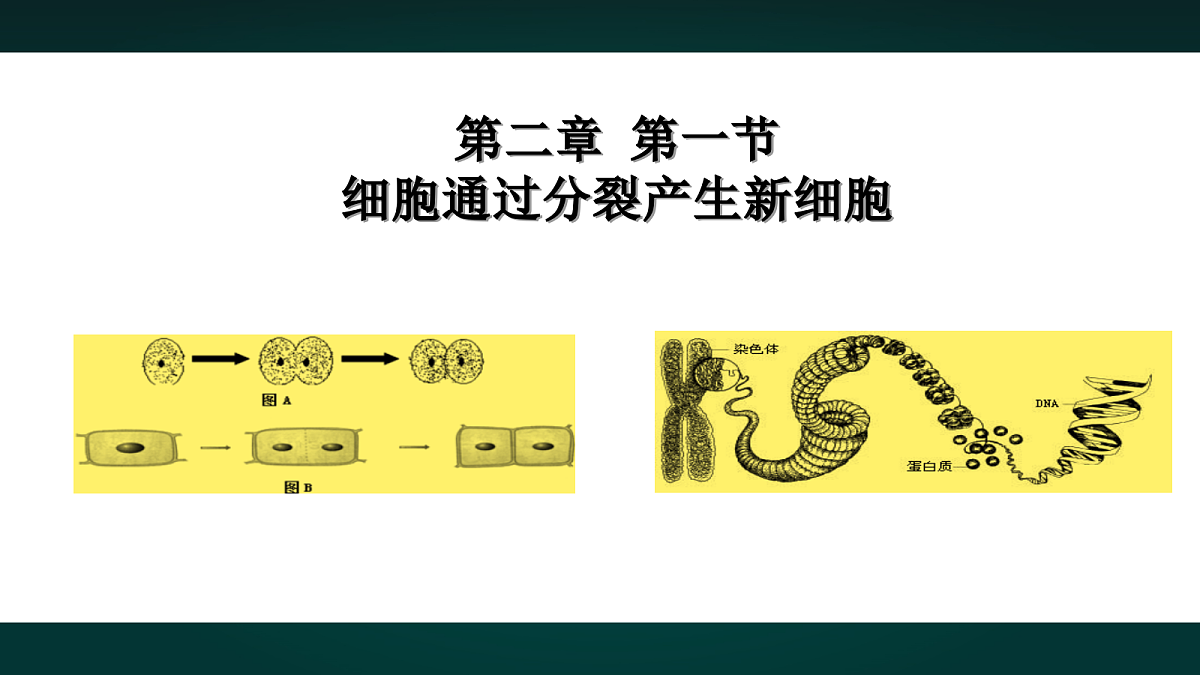 17991877第3页