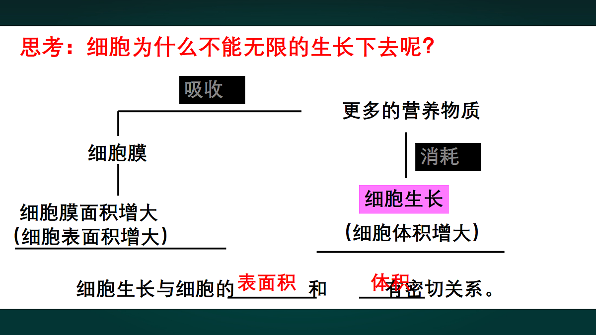 17991877第7页