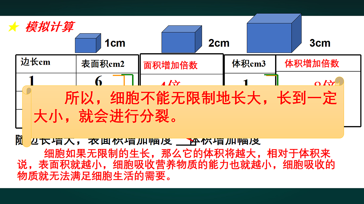 17991877第8页