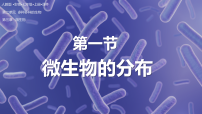 人教版（2024）七年级上册（2024）微生物的分布集体备课ppt课件
