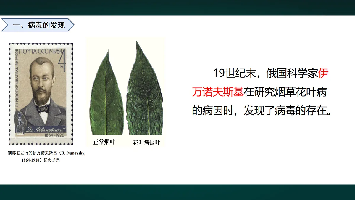 17991880第3页