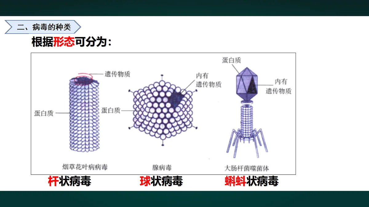 17991880第6页