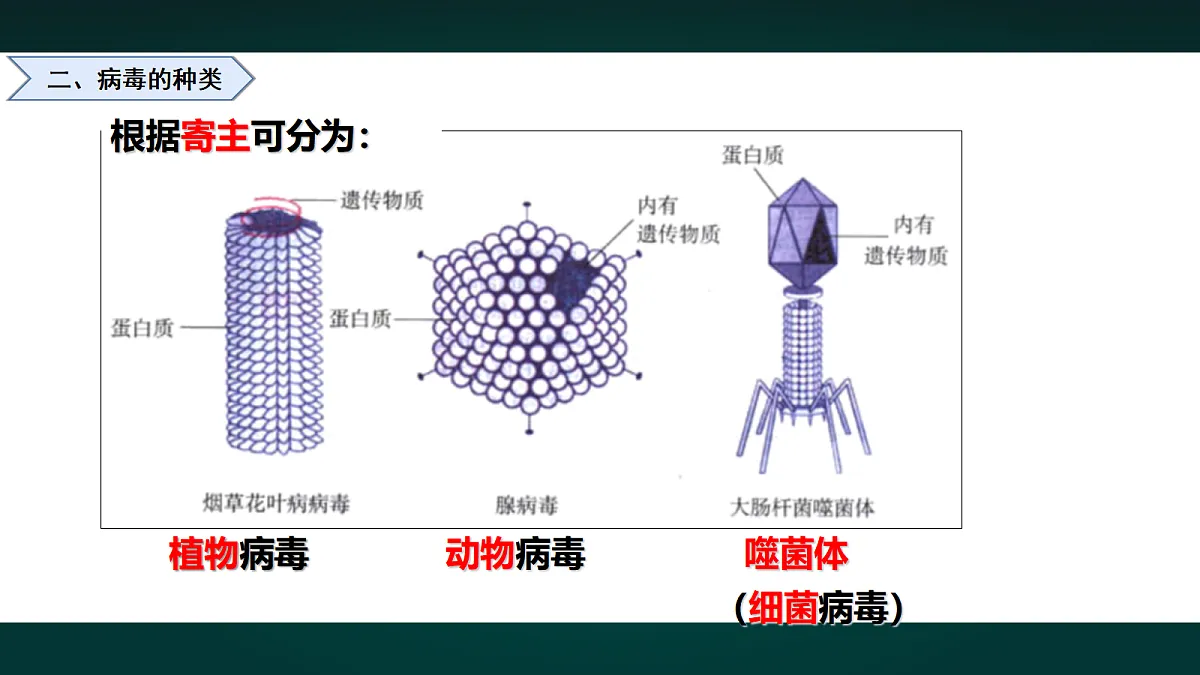 17991880第7页