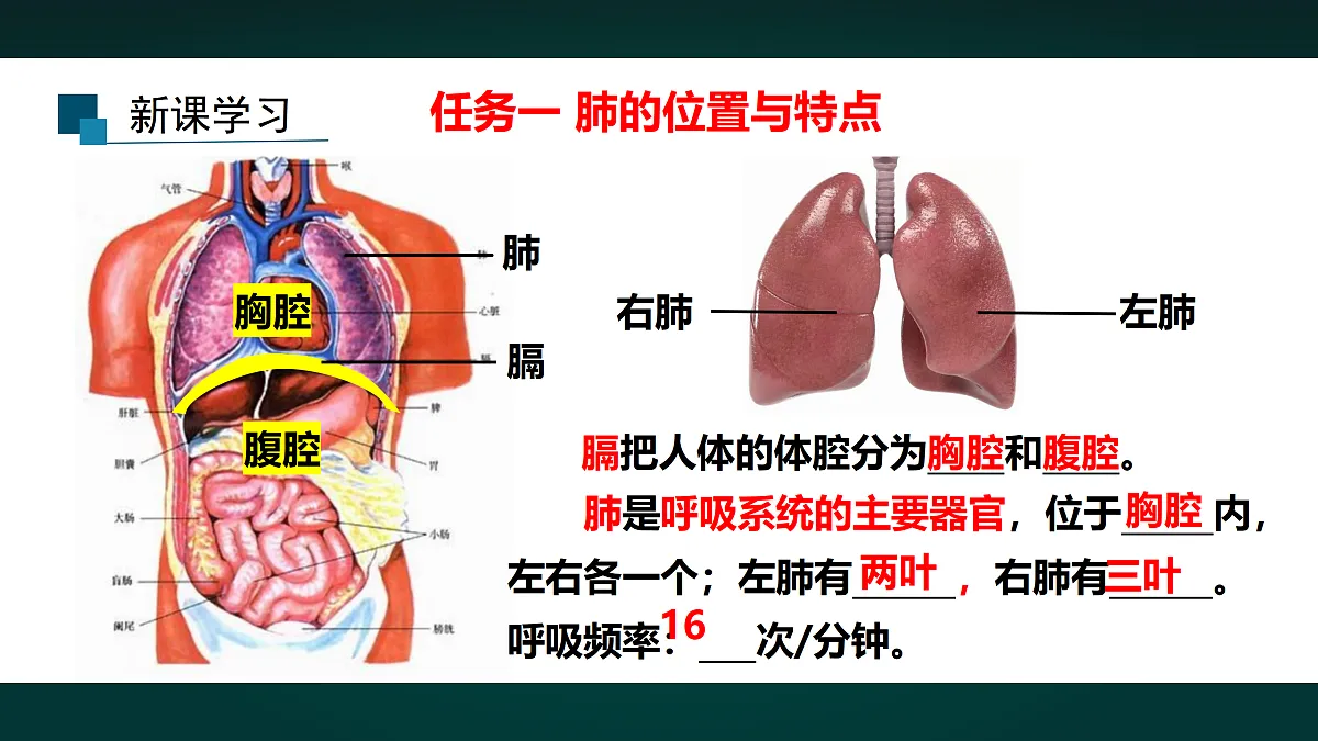 17991884第3页