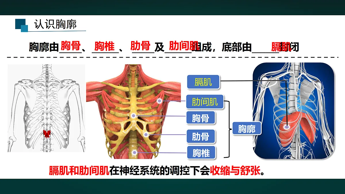 17991884第4页